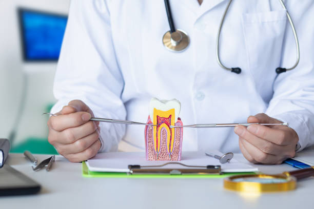Best Cracked Tooth Emergency Dentist  in North Haledon, NJ